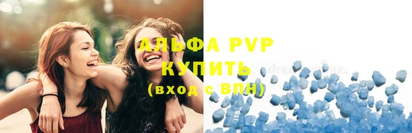 шишки Карпинск