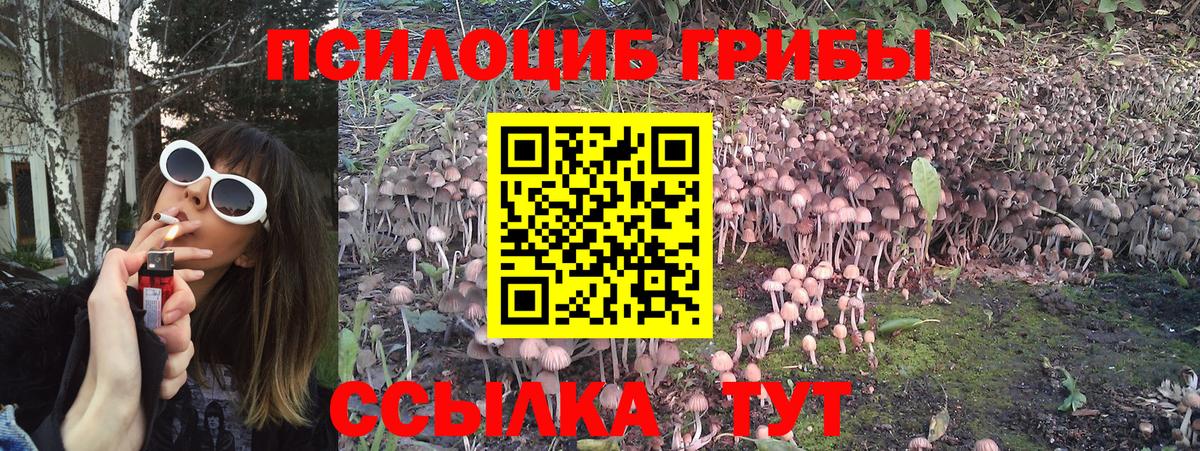 Псилоцибиновые грибы Magic Shrooms  Вход с VPN  Моздок 