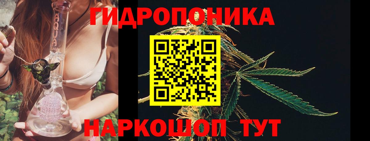 Марихуана SATIVA & INDICA Моздок